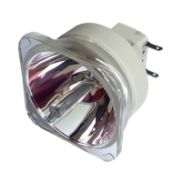 BENQ 5J.J4L05.021 Lampe ohne Modul