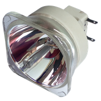 BENQ 5J.J8C05.002 Lampe ohne Modul