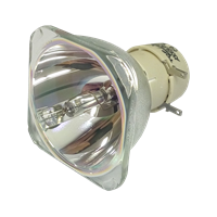 BOXLIGHT P12 Lampe ohne Modul