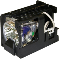 CTX EzPro 705 Lampe mit Modul