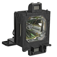 EIKI LC-WGC500L Lampe mit Modul