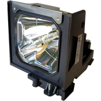 EIKI LC-XG100 Lampe mit Modul