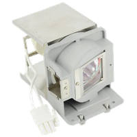 INFOCUS SP-LAMP-069 Lampe mit Modul