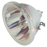 LG RE-44SZ21RB Lampe ohne Modul