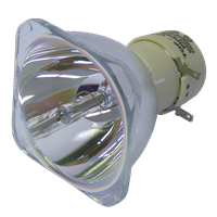 NEC NP-M402HG Lampe ohne Modul