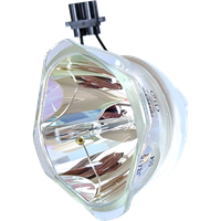 PANASONIC PT-DW750L Lampe ohne Modul