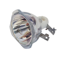 PHOENIX SHP59 Lampe ohne Modul