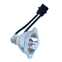SHARP PG-D50X3D Lampe ohne Modul