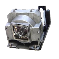 TOSHIBA TDP-T355J Lampe mit Modul