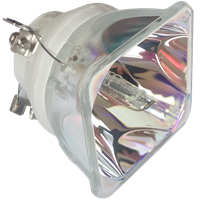 USHIO NSHA260HI Lampe ohne Modul